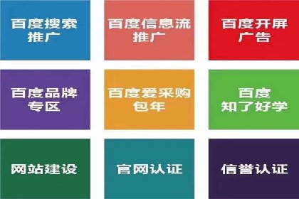 电商行业SEM运营的挑战与成功案例